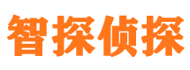 迎泽侦探公司